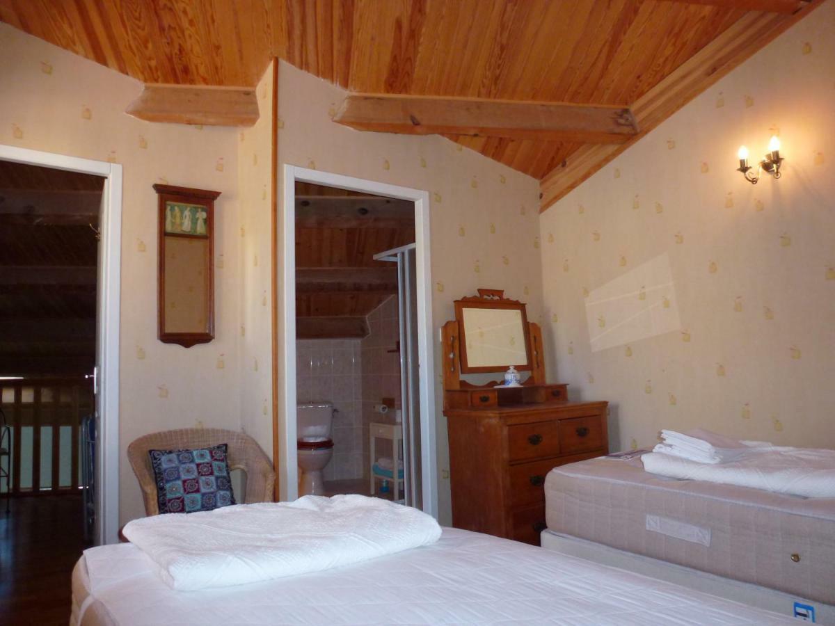 Comfortable Apartment